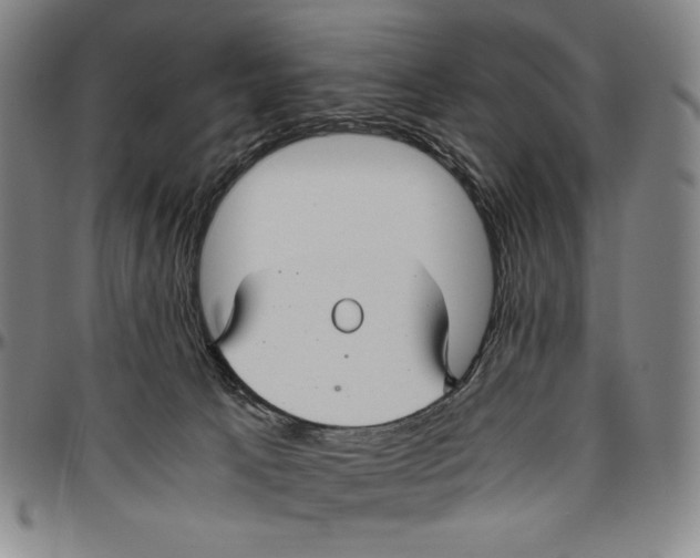 X0000096480033200802211224