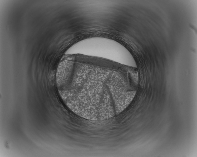 X0000096480034200802211224