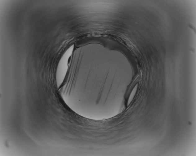 X0000096480035200802211224