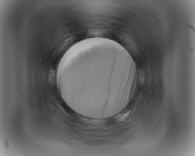 X0000096480036200802211224