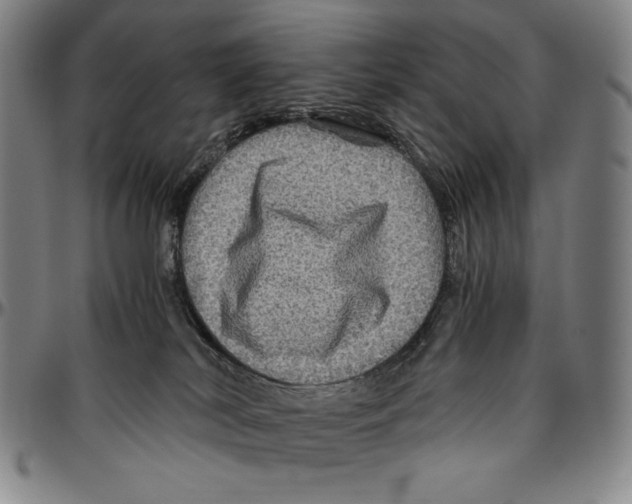 X0000096480038200802211224