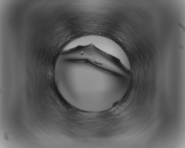 X0000096480040200802211224