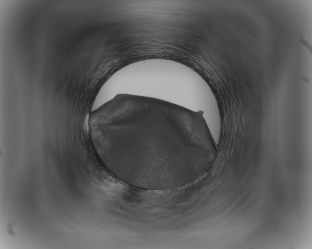 X0000096480041200802211224