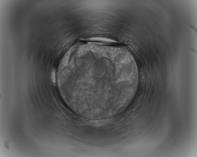 X0000096480042200802211224