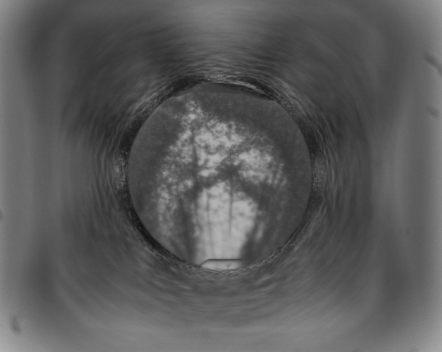 X0000096480043200802211224