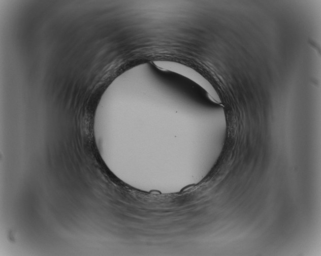 X0000096480044200802211224
