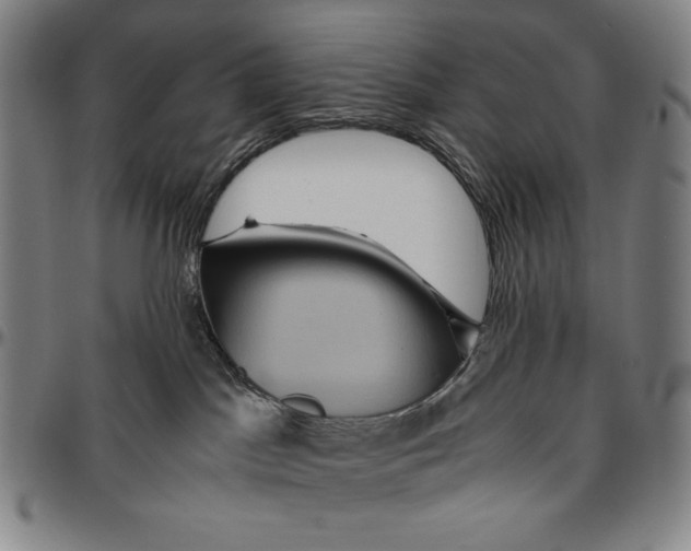 X0000096480045200802211224