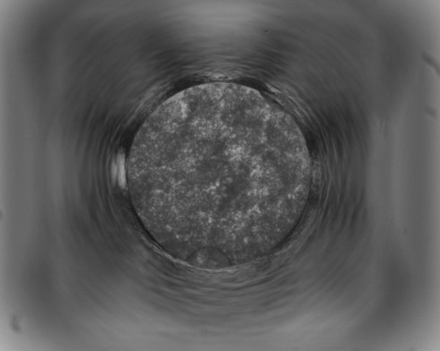 X0000096480046200802211224