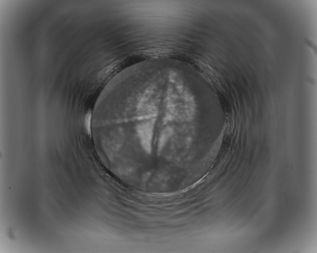 X0000096480047200802211224