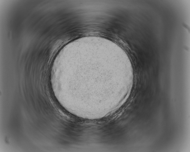 X0000096480049200802211224
