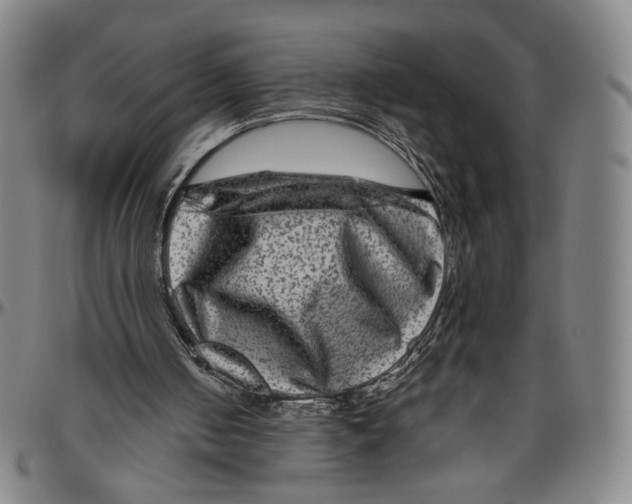X0000096480050200802211224