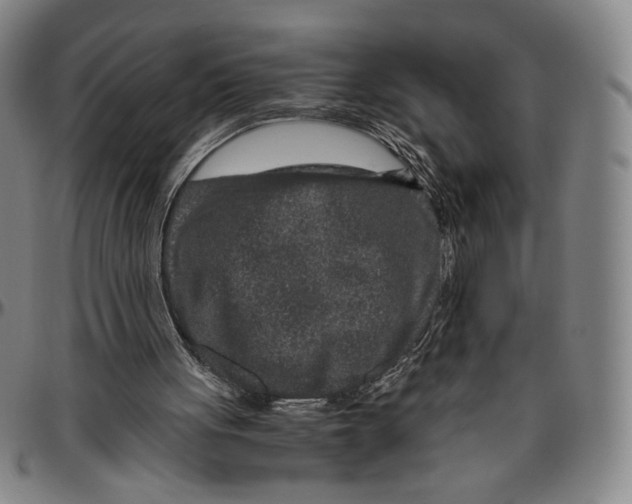 X0000096480051200802211224