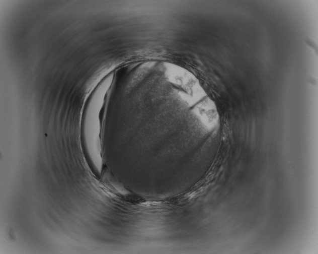 X0000096480052200802211224