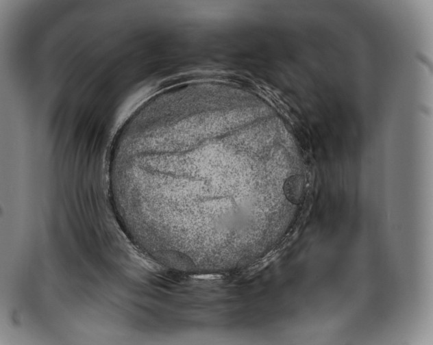 X0000096480053200802211224