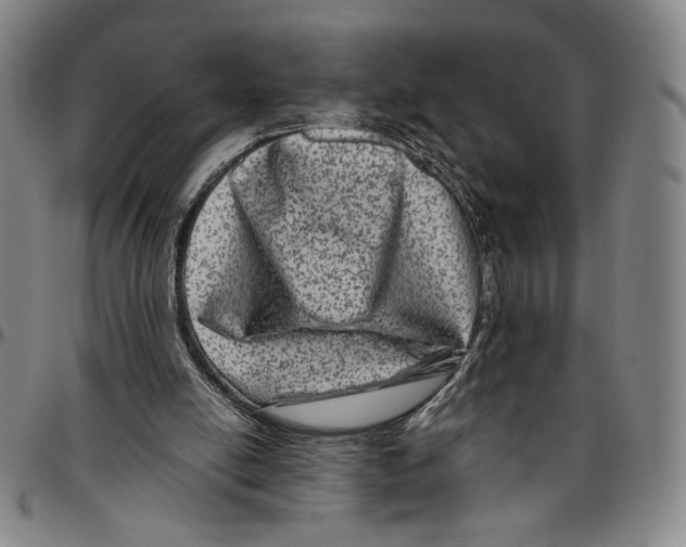 X0000096480054200802211224