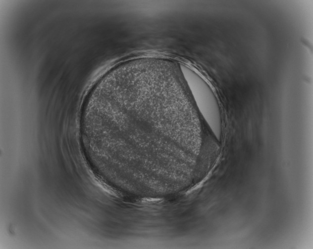 X0000096480055200802211224