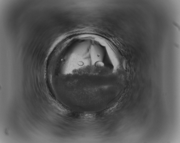 X0000096480056200802211224