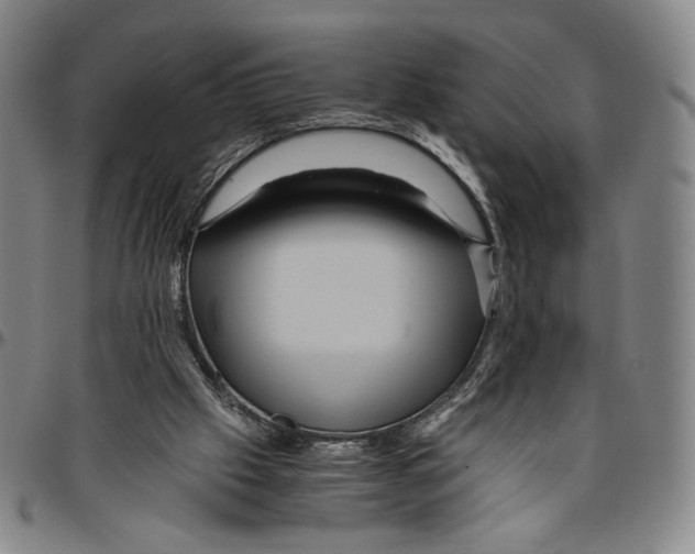 X0000096480057200802211224