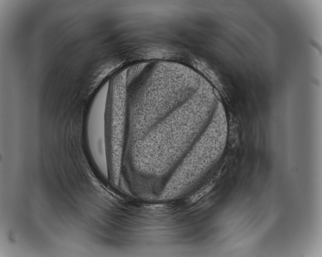 X0000096480058200802211224