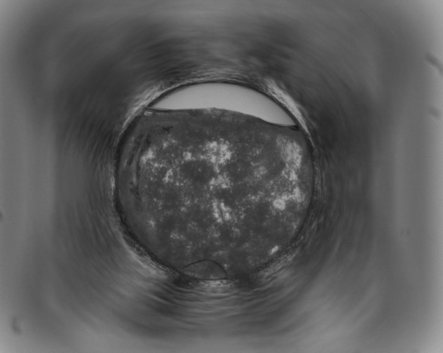 X0000096480059200802211224