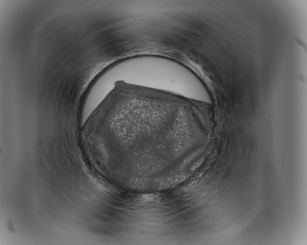 X0000096480060200802211224