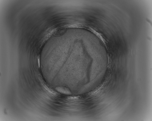 X0000096480061200802211224