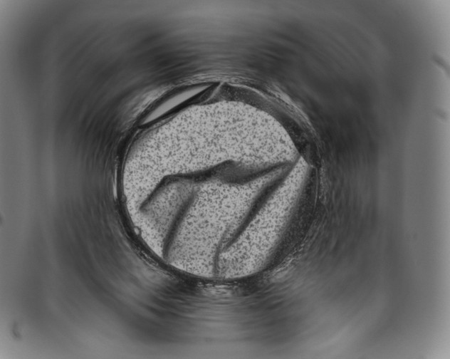 X0000096480062200802211224