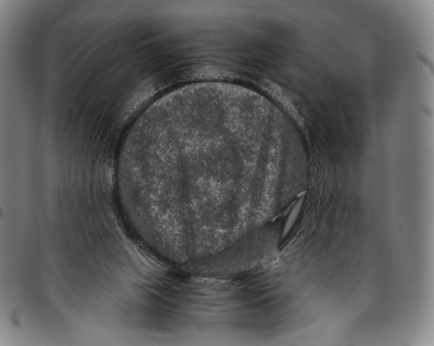X0000096480063200802211224