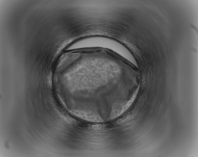 X0000096480064200802211224