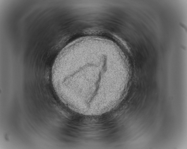 X0000096480065200802211224