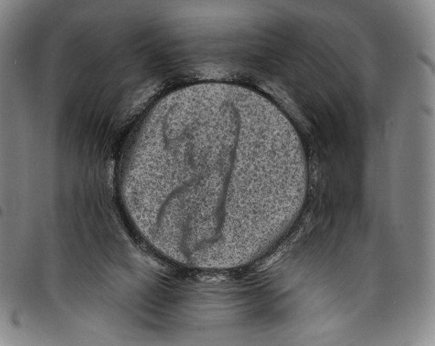 X0000096480066200802211224