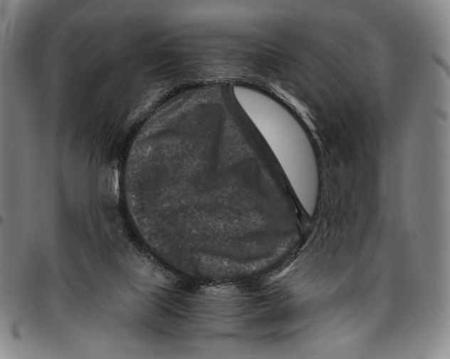 X0000096480067200802211224