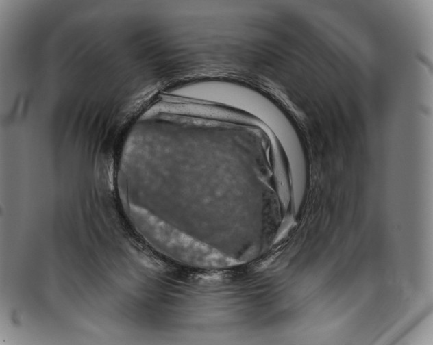 X0000096480068200802211224