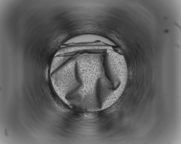 X0000096480070200802211224