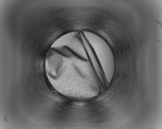 X0000096480071200802211224