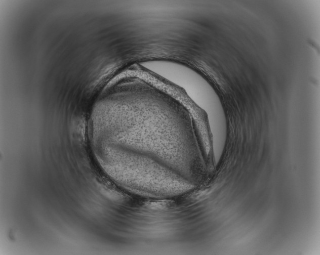 X0000096480072200802211224