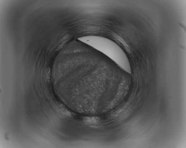 X0000096480073200802211224