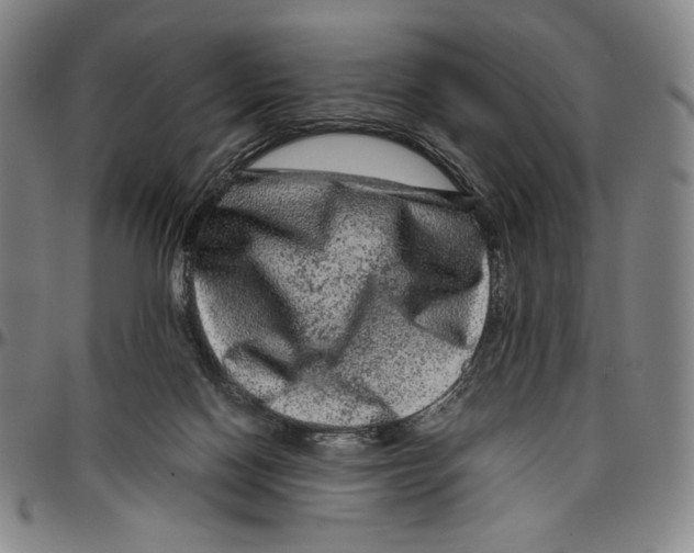 X0000096480074200802211224
