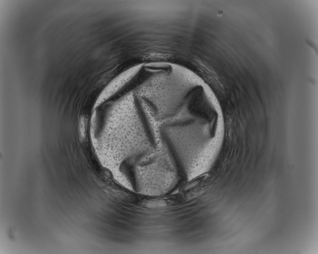 X0000096480075200802211224