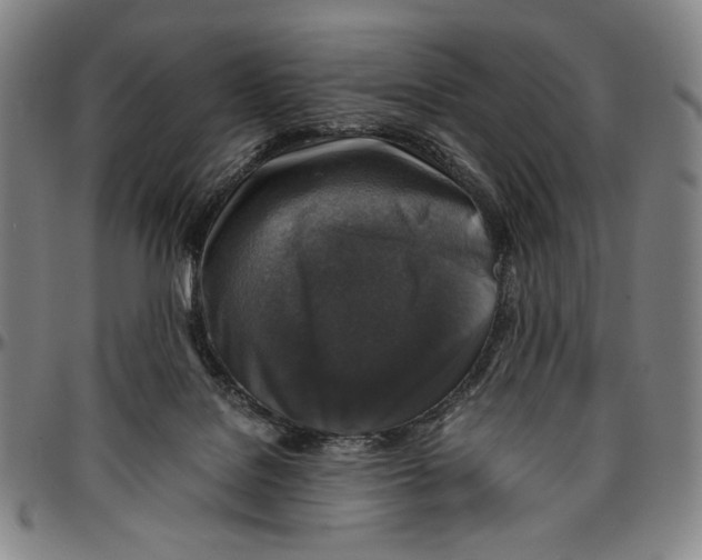 X0000096480076200802211224