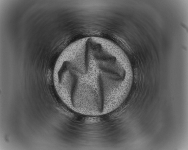 X0000096480077200802211224