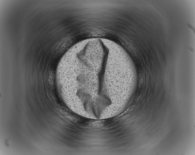 X0000096480078200802211224