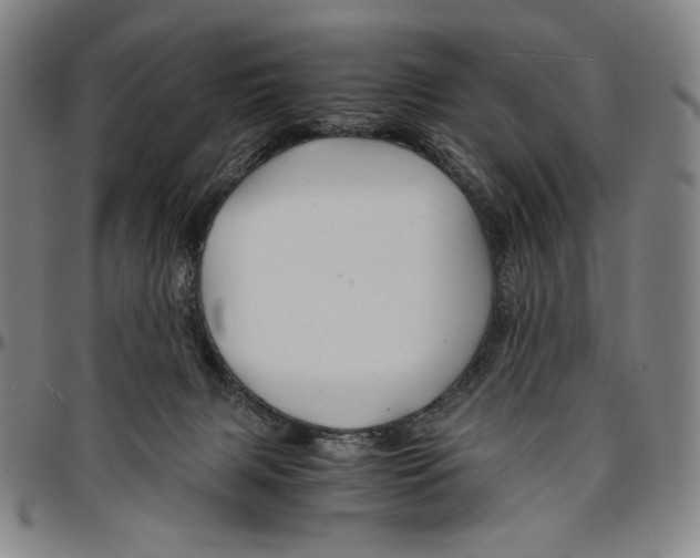X0000096480079200802211224