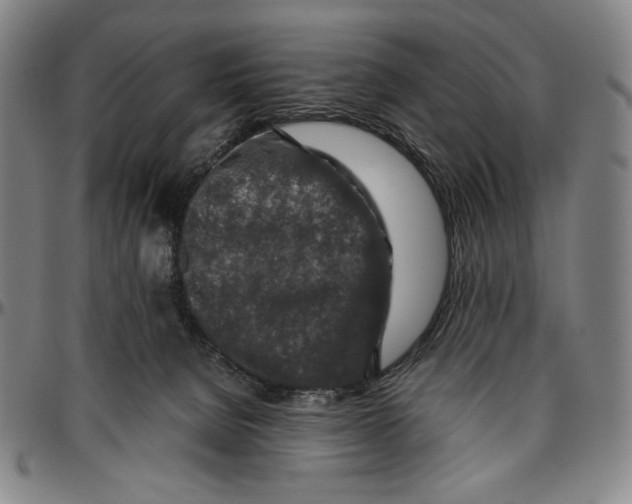 X0000096480080200802211224
