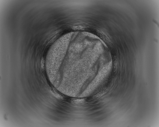 X0000096480081200802211224