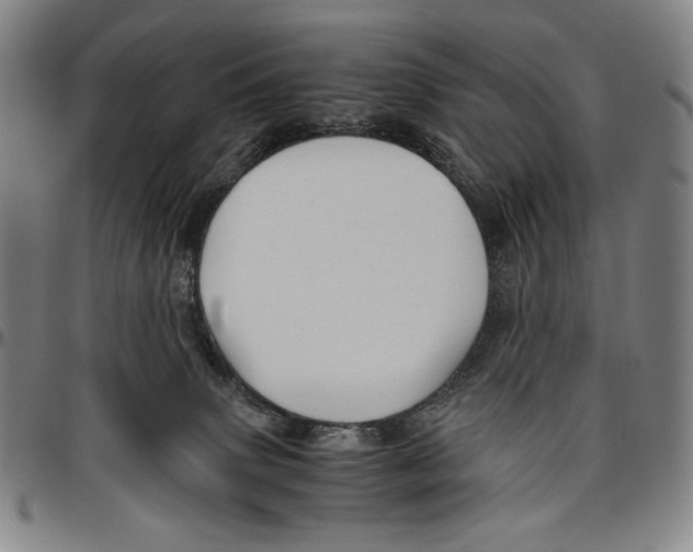 X0000096480083200802211224