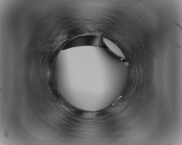 X0000096480084200802211224