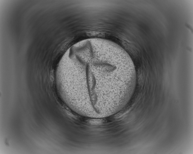 X0000096480085200802211224
