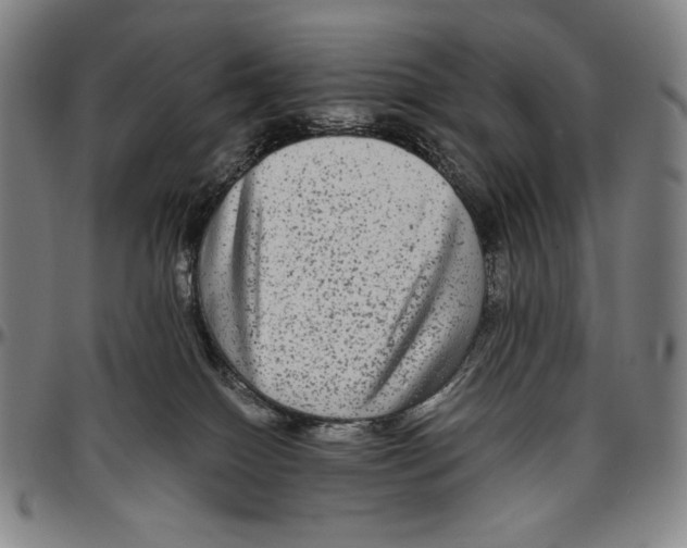 X0000096480086200802211224
