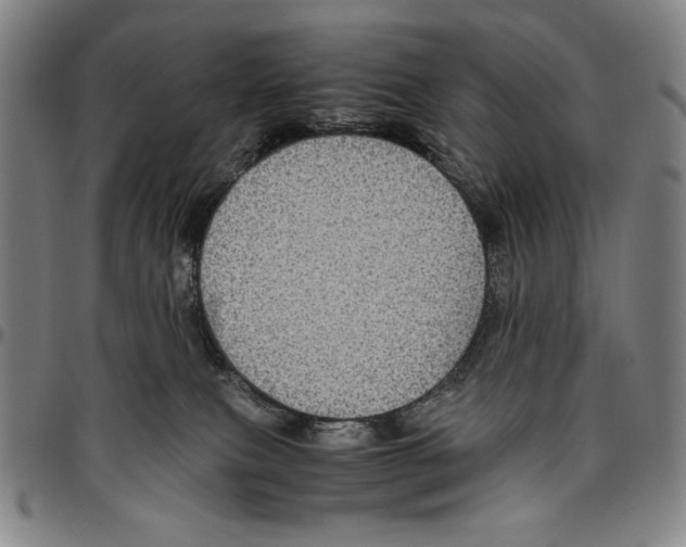 X0000096480087200802211224